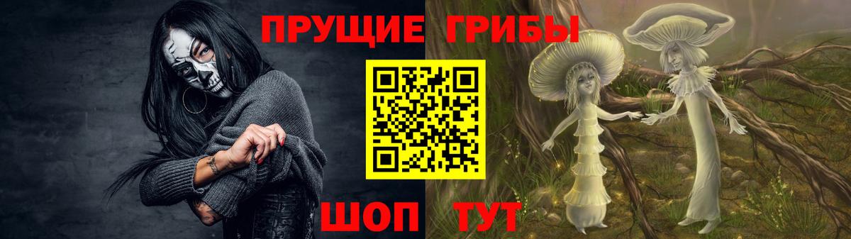 Галлюциногенные грибы мухоморы  Вход с VPN  магазин  наркотиков  Киров 